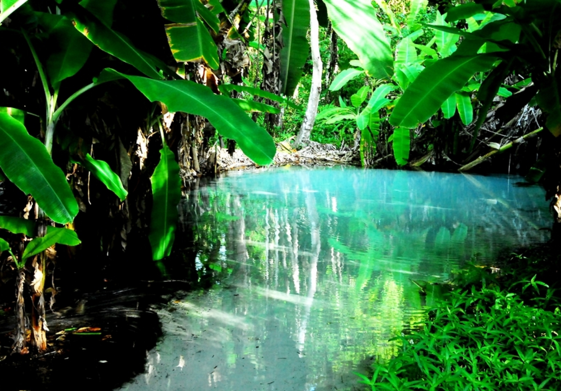 Fervedouro Bananeiras